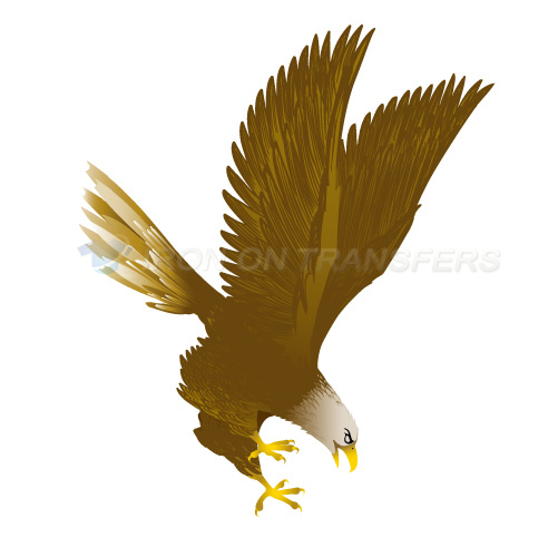 Eagles Iron-on Stickers (Heat Transfers)NO.2206